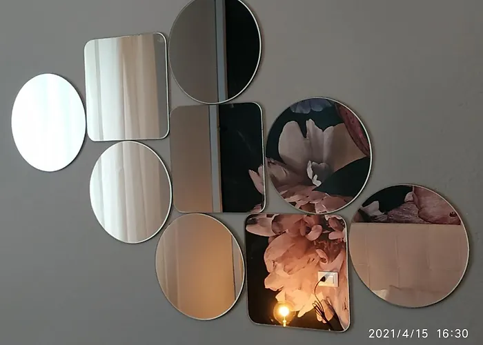 Aurora Flowers - Two And Free Parking Near Center And Train Station